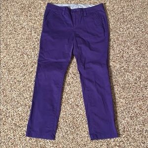 Purple Dress Pants